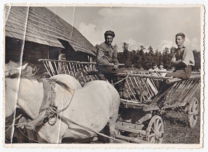 Petras Anilionis ir Juozapas Mikalajūnas važiuoja vežti vasarojaus, 1953 m.